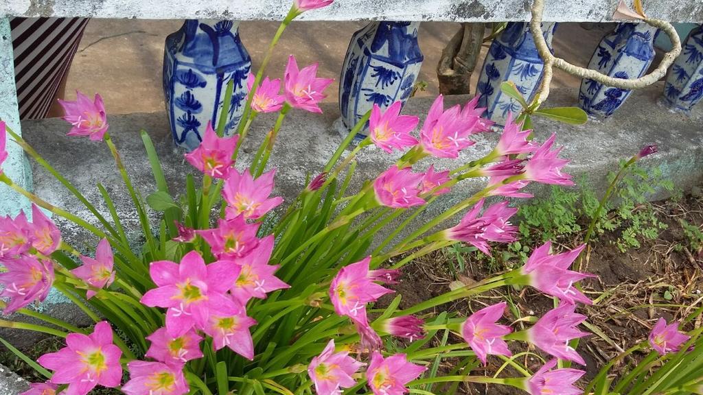 Center Homestay Хой Ан Екстериор снимка
